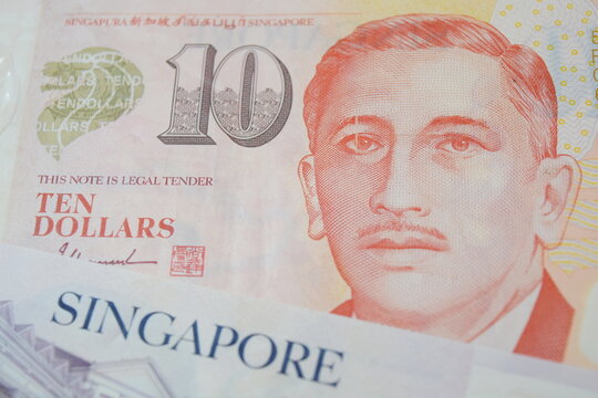 10 Singapore Dollar banknote showing intricate details of the currency design 
