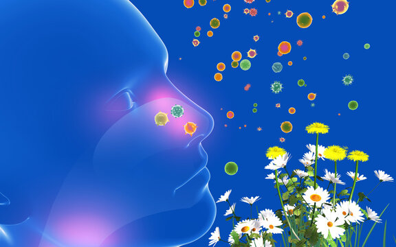 3D illustration of a human head in profile view. Alongside flowers, plants, and pollen that cause spring allergies, nasal irritation, coughs, and sore throats. 