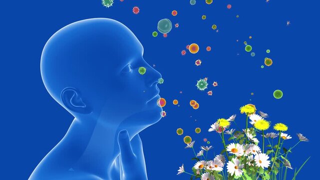 3D animation of a human head in profile view. Alongside flowers, plants, and pollen that cause spring allergies. Highlighting the upper respiratory system (ENT). 