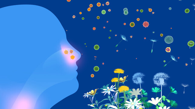 3D illustration of a human head in profile with the upper respiratory system (ENT). Breathing in flower pollen that triggers spring allergies, nasal and throat irritation. 