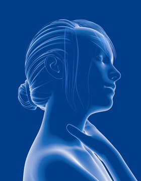 3D illustration of a female human figure highlighting the upper respiratory system (ENT). She is shown clutching her throat, indicating pain, discomfort, and irritation. Transparent graphic style.