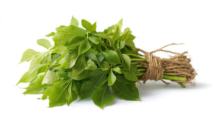 Fototapeta premium Bundle of fresh parsley herbs tied with twine food preparation white background