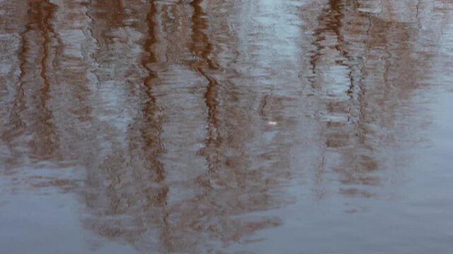 Abstract reflections of bare spring trees on rippling river water