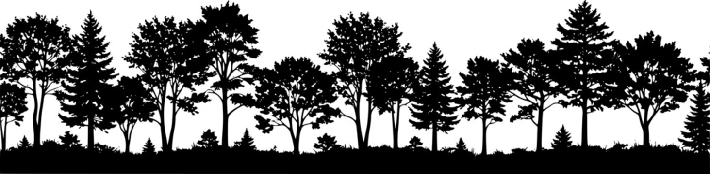 Fir trees silhouettes set. Coniferous spruce horizontal background patterns, black evergreen woods vector illustration. Beautiful hand drawn panorama with treetops forest. Black pine woods