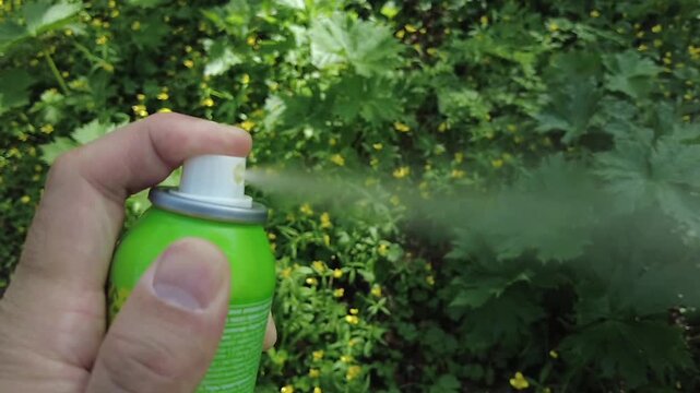Hand pressing green aerosol can spraying tick insect repellent mist in forest