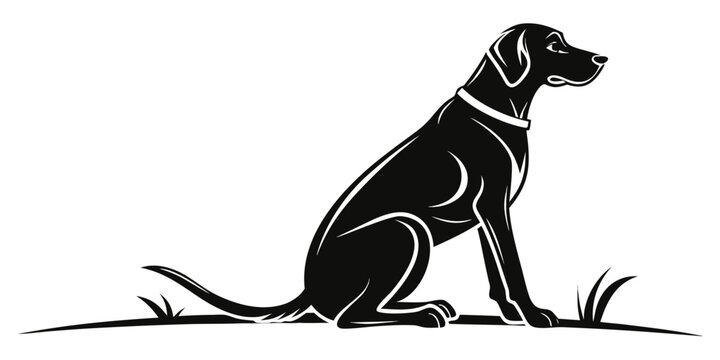 Stylized black silhouette of a labrador retriever dog sitting alertly in a grassy field profile view hunting dog black and white working dog guard dog animal portrait silhouette domestic