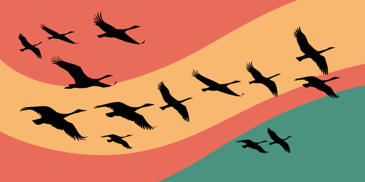 Flock of geese in silhouette flying in formation against a colorful abstract sky with silhouette formation migration abstract background wildlife movement peaceful collective gregarious