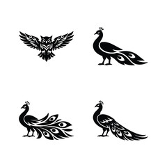 Fototapeta premium Intricate owl and peacock bird silhouettes for elegant design elements