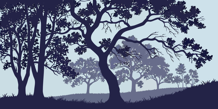 Silhouette of a dense forest with layered trees and rolling hills under a pale sky silhouette landscape woodland outdoors environment background illustration treescape