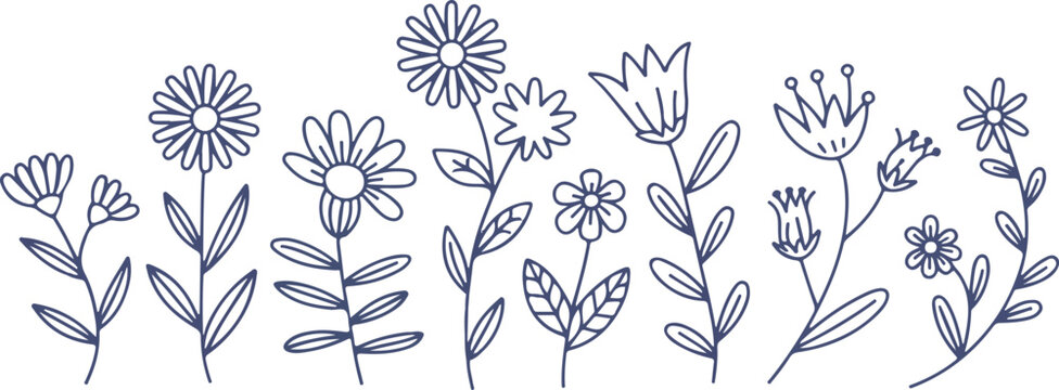 Wildflower Meadow Border Vector Set with Minimalist Botanical Line Art and Blue Floral Outlines