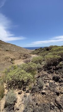 Montana Pelada natural park landscape in Tenerife,Canary Islands,Spain,4K vertical video