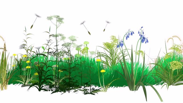 3d animation of wildflowers and plants seen from the side. Spreading pollen and dandelion seeds that trigger spring allergies. Graphic style with flat colors.