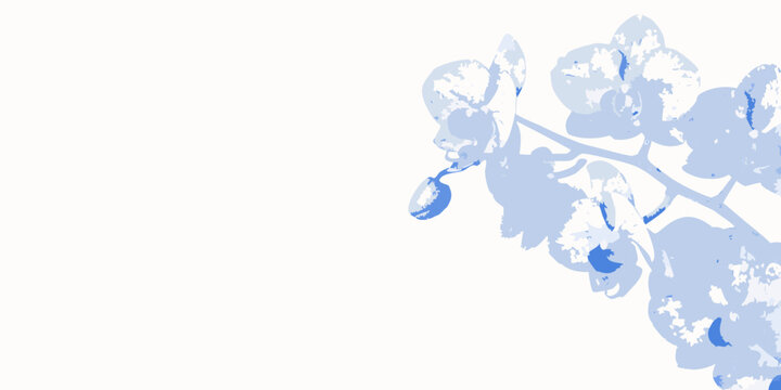 orchid flower illustration in minimalist blue and white style high quality professional detailed modern elegant
