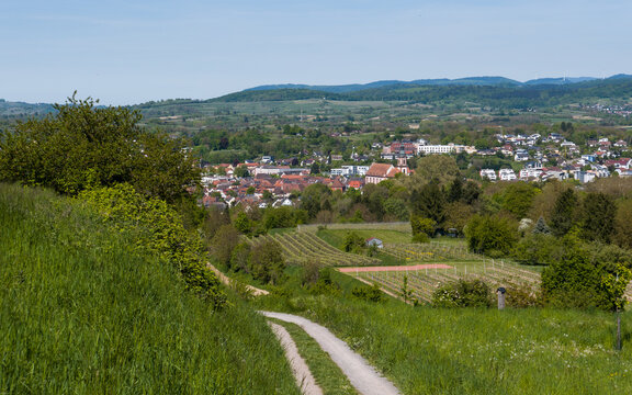 Landschaft bei der Stadt Ettenheim im Ortenaukreis, Baden-W&uuml;rtt.