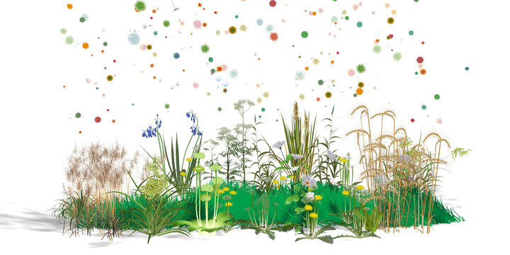 3D illustration of wildflowers and plants seen from the front. Spreading pollen and dandelion seeds that trigger spring allergies. Graphic style with flat colors on a white background.