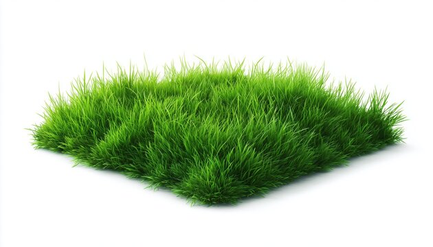 A Serene Scene: White Background Highlighting A Vibrant Square Of Lush Green Grass Field In Full Bloom On Display.