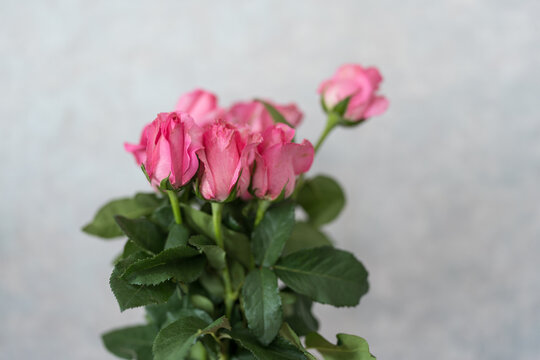 Happy mother day bouquet of pink roses in vase on a gray surface