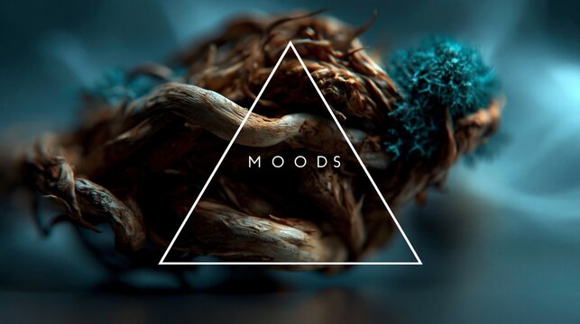 Abstraktes digitales Kunstbild mit einem wei&szlig;en Dreieck in der Mitte &uuml;ber einer organisch-braunen Textur und t&uuml;rkisfarbenen Elementen mit dem Wort &bdquo;MOODS"