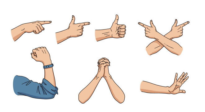 Variety of human hand gestures including pointing, thumbs up, a fist, praying hands, and stop signals illustrated with detailed line work and color.