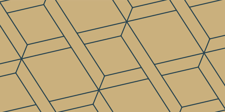 Geometric Pattern with Intersecting Lines and Rectangles.