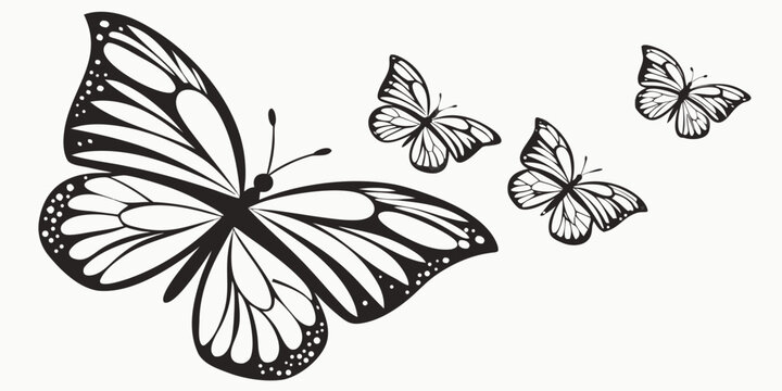 Group of butterflies flying together in a decorative vector illustration with wing span nature lover wing pattern butterfly butterflies decorative wildlife silhouette illustration beautiful