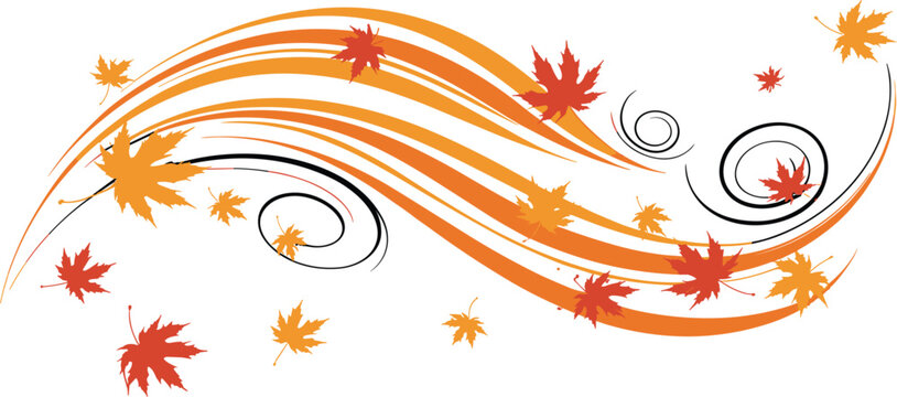 Professional vector illustration of colorful autumn maple leaves blowing in the wind with decorative orange and black swirls.
