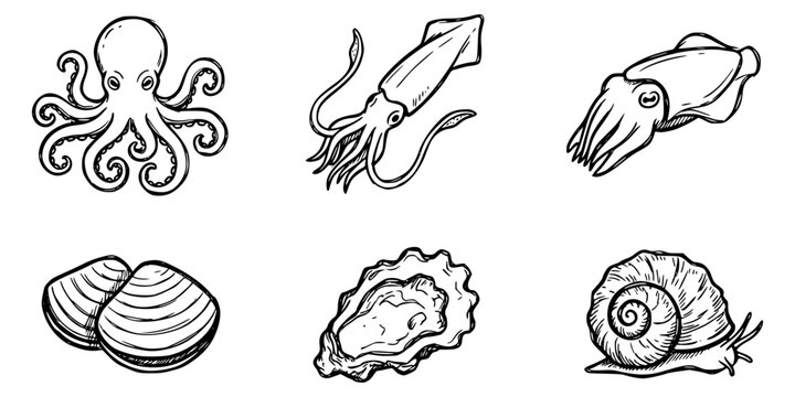 Hand Drawn Seafood Icon Set &ndash; Octopus, Squid, Cuttlefish, Clams, Oyster and Snail Shell Line Art Collection
