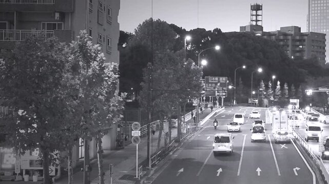 東京の幹線道路。