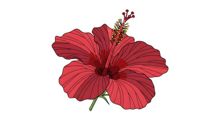 Fototapeta premium vibrant red hibiscus flower with green leaves isolated on transparent background