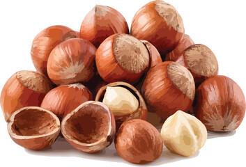 Fototapeta premium Stack of Hazelnuts with Open Shells and Kernels Keywords: hazelnuts, nuts, stack, pile, whole