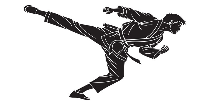 Martial artist performing a high side kick in black silhouette with silhouette training taekwondo fighting movement exercise discipline strength isolated competitive wellness lifestyle