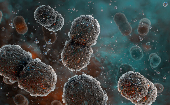 Enterococcus cocci bacteria. Pathogenic gram-positive diplococci cell division. Antibiotic resistance, infectious disease, gut microbiota imbalance, immune response, hospital-acquired infection, 3D