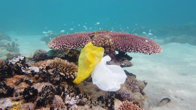 Environmental Pollution - A discarded white plastic bags drifts over a tropical coral reef. Ecological problem.