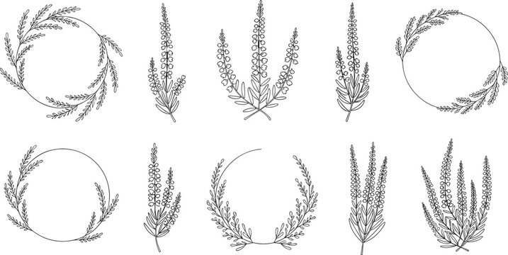 Heather Wildflower Line Art Wreath and Branch Vector Set with Circular Frames and Floral Arrangements