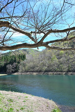 加茂水源地の春（新潟県加茂市）
