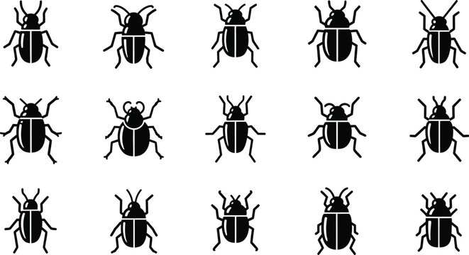Collection of black beetle with varied leg and antenna positions on white background, insect