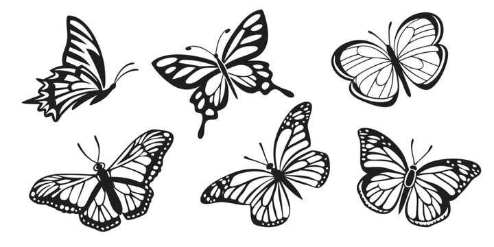 Detailed butterfly silhouettes collection for nature design projects with butterfly silhouette collection wildlife isolated decorative beautiful ornament illustration creature morphology