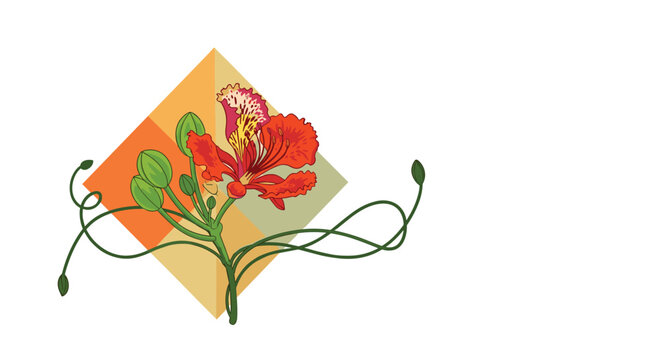 Single vibrant flamboyant flower with green buds on a geometric diamond background for a modern floral art design.