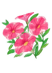 Fototapeta premium 咲き誇るカリブラコアの花の手描きの水彩イラスト