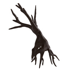 Fototapeta premium Tree trunk