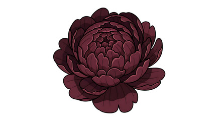 Obraz premium elegant purple lotus flower with layered petals isolated on transparent background