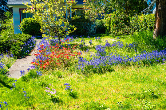 Front Yard Spring Landscaping 4