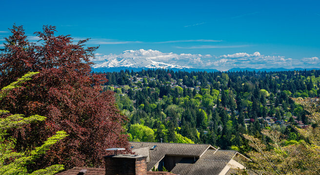 Spring Mountain View