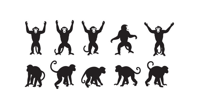 Monkey silhouettes collection with different primate poses including sitting walking and climbing actions in vector art.