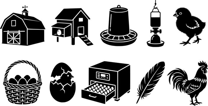 Comprehensive collection of poultry farm and egg production related icons, ideal for educational materials, agricultural business branding, or rustic design applications