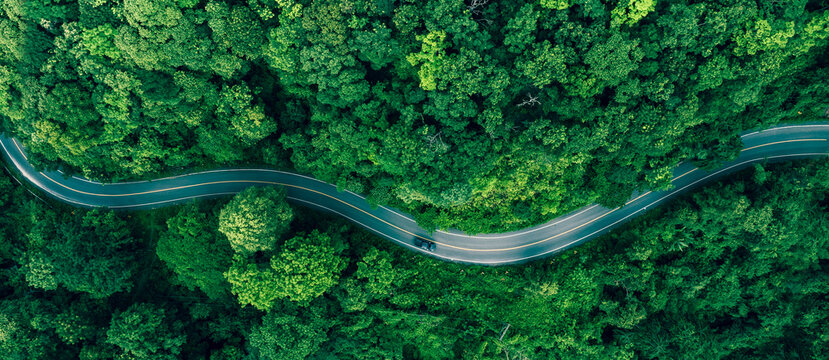 Aerial forest landscape with winding road and vehicles traveling through nature. Concept for sustainable mobility, ESG investment, climate awareness, green transport and eco friendly development.
