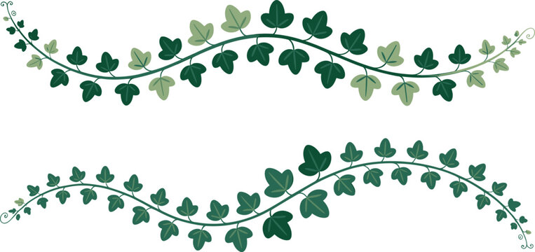 Green leafy vine border set with elegant botanical elements, decorative foliage garland isolated on white background, minimal nature vector illustration