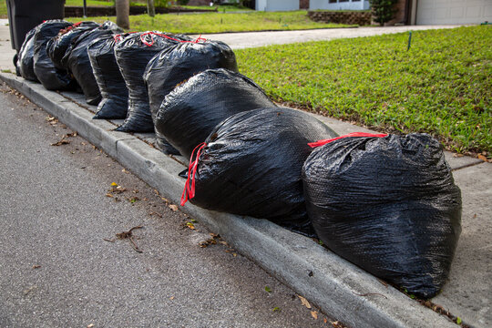 Garbage Bags Lined up on the Curb for Collection on a Street
