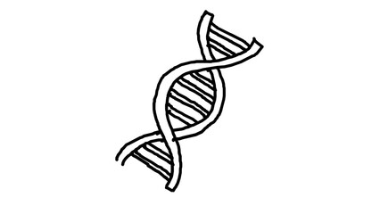 Fototapeta premium Hand drawn sketch of DNA double helix genetic biology illustration alpha transparent