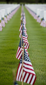 Line of american flags leading into a cemetery with united states, stars and str